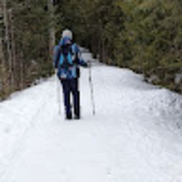 Meet your Posher, Carlene - Picture 1 of 1